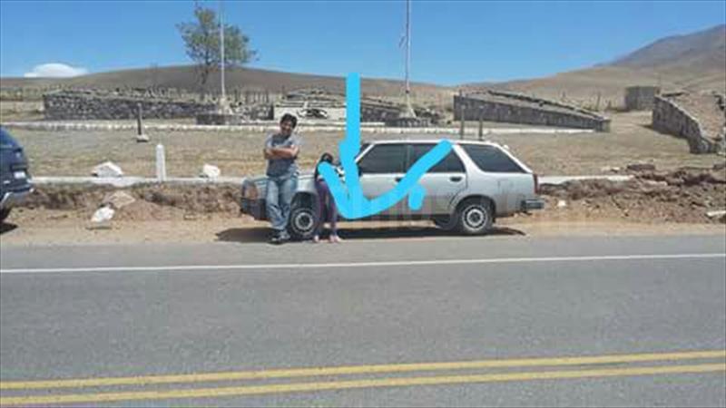 foto Renault 18 GTL Break usado